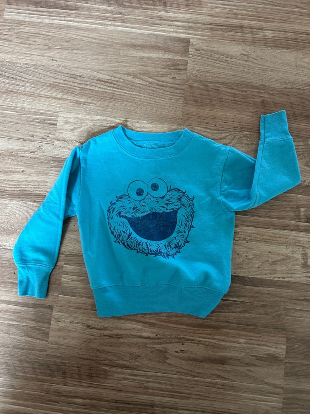 Kids Blue Cookie Monster Sweatshirt - Sesame Street
